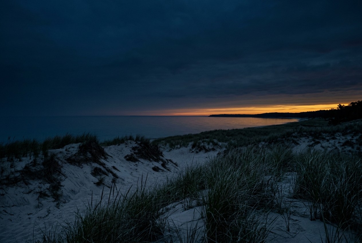 A rocky shoreline after dark